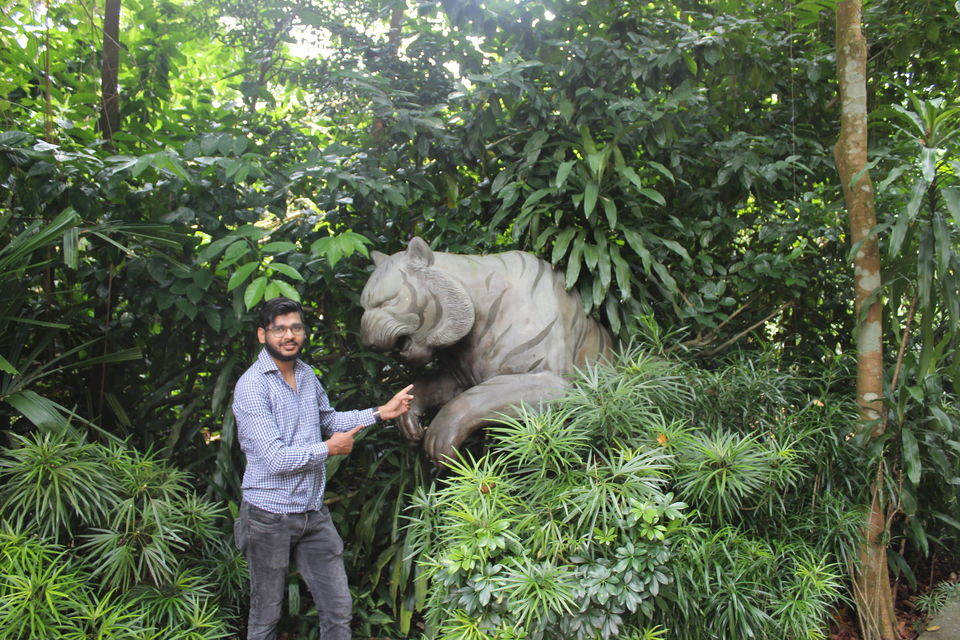 Photo of Singapore - Singapore Zoo 20/70 by Yasmin Mirza