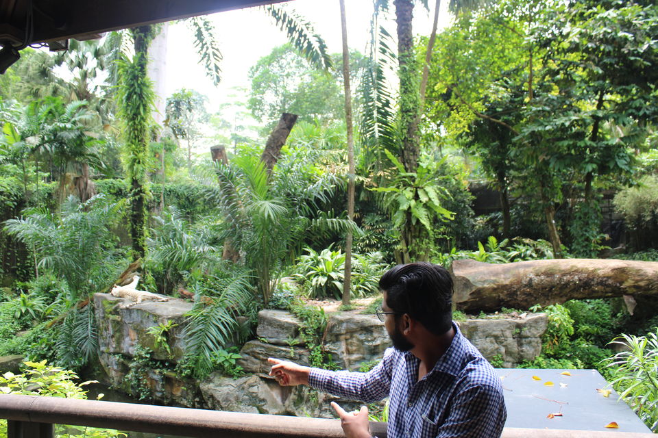 Photo of Singapore - Singapore Zoo 18/70 by Yasmin Mirza
