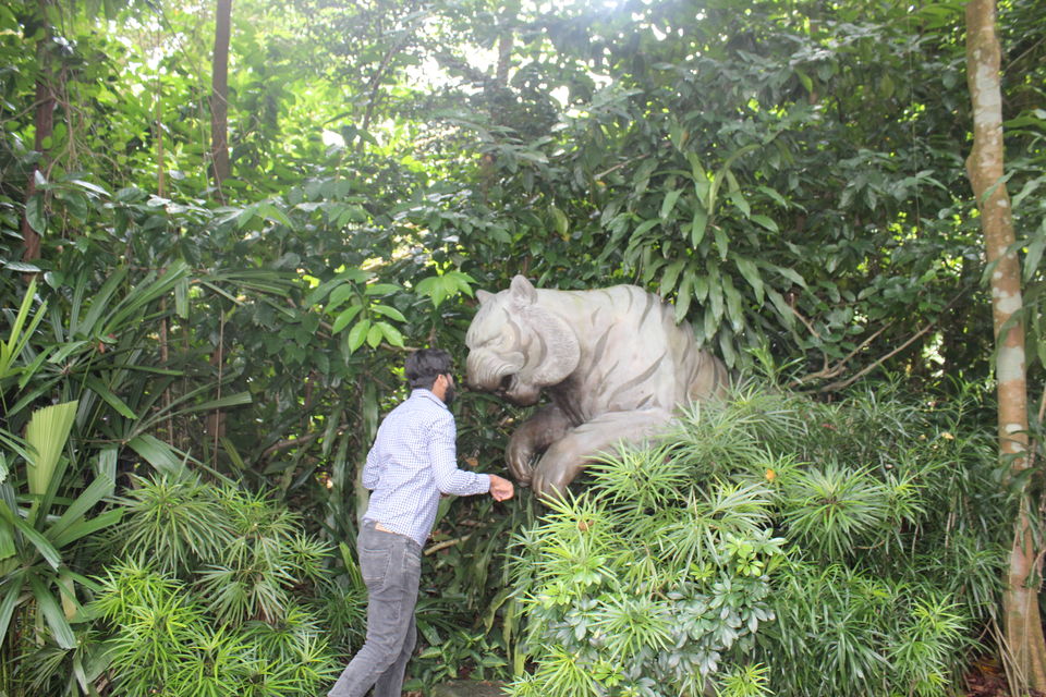 Photo of Singapore - Singapore Zoo 21/70 by Yasmin Mirza
