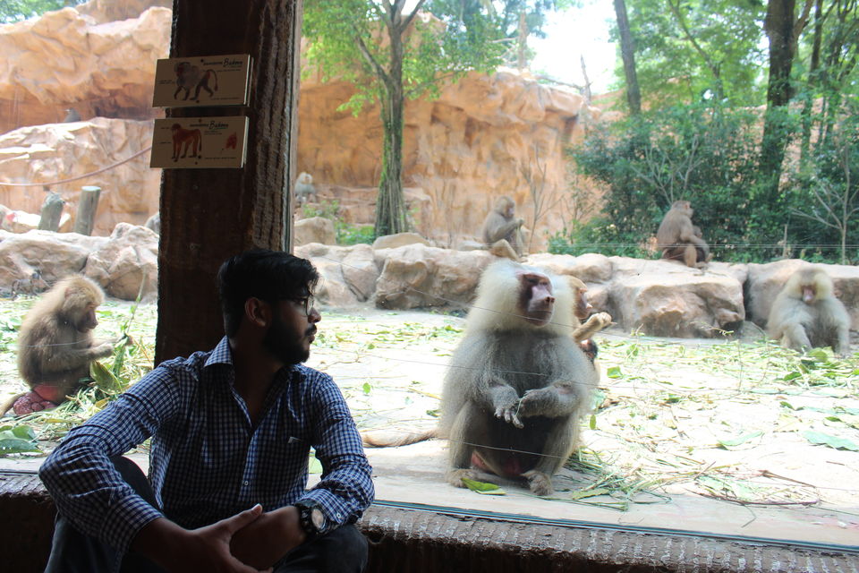 Photo of Singapore - Singapore Zoo 30/70 by Yasmin Mirza