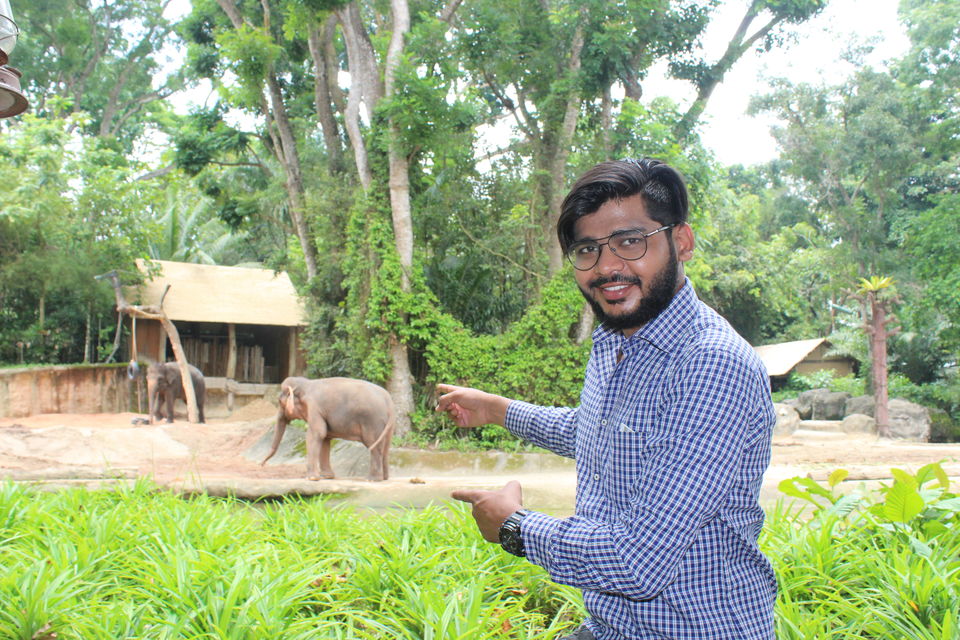 Photo of Singapore - Singapore Zoo 22/70 by Yasmin Mirza