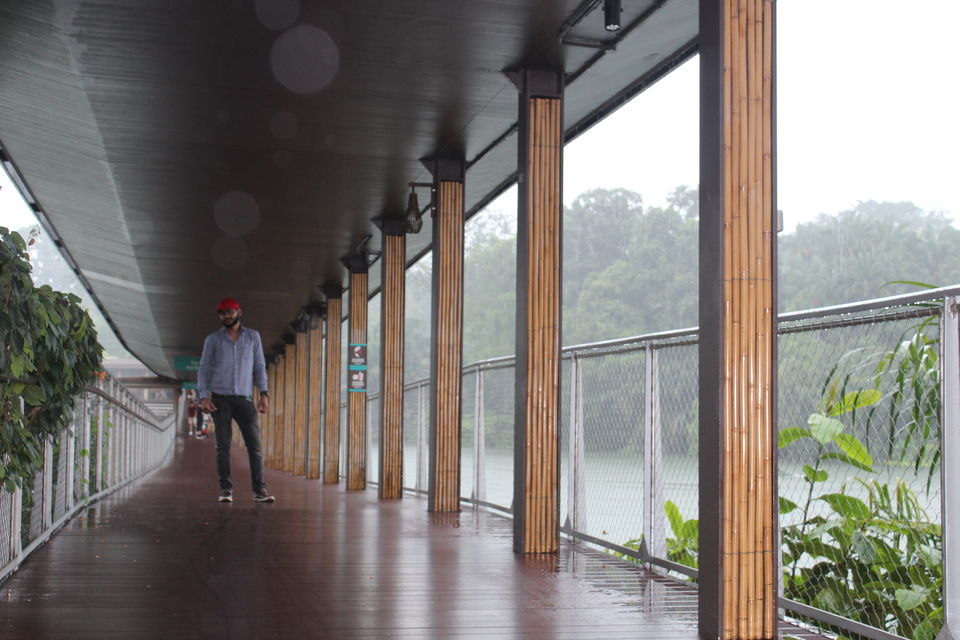 Photo of Singapore - Singapore Zoo 6/70 by Yasmin Mirza