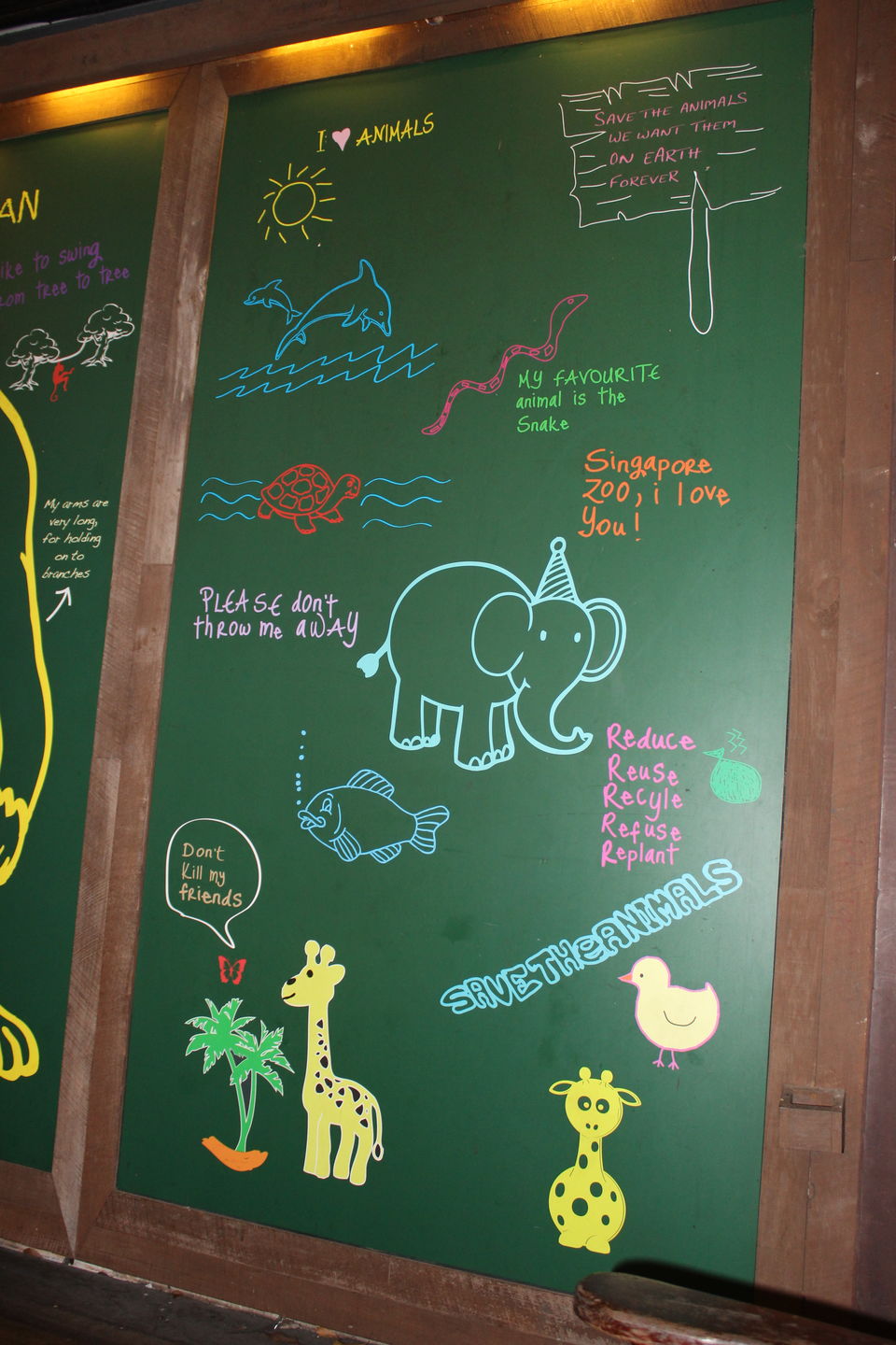 Photo of Singapore - Singapore Zoo 12/70 by Yasmin Mirza