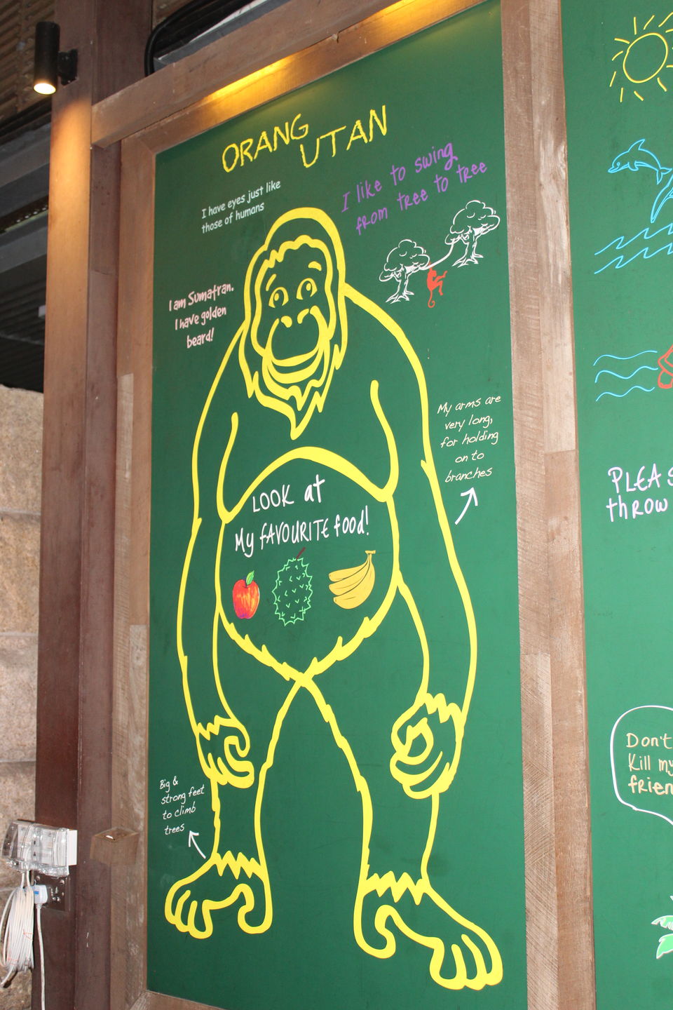 Photo of Singapore - Singapore Zoo 11/70 by Yasmin Mirza