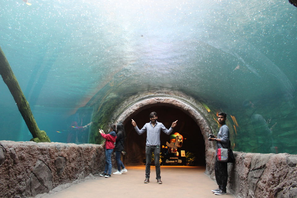 Photo of Singapore - Singapore Zoo 54/70 by Yasmin Mirza