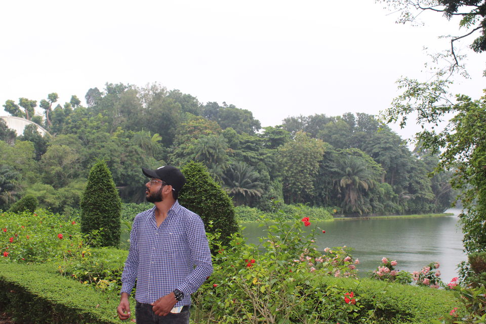 Photo of Singapore - Singapore Zoo 8/70 by Yasmin Mirza