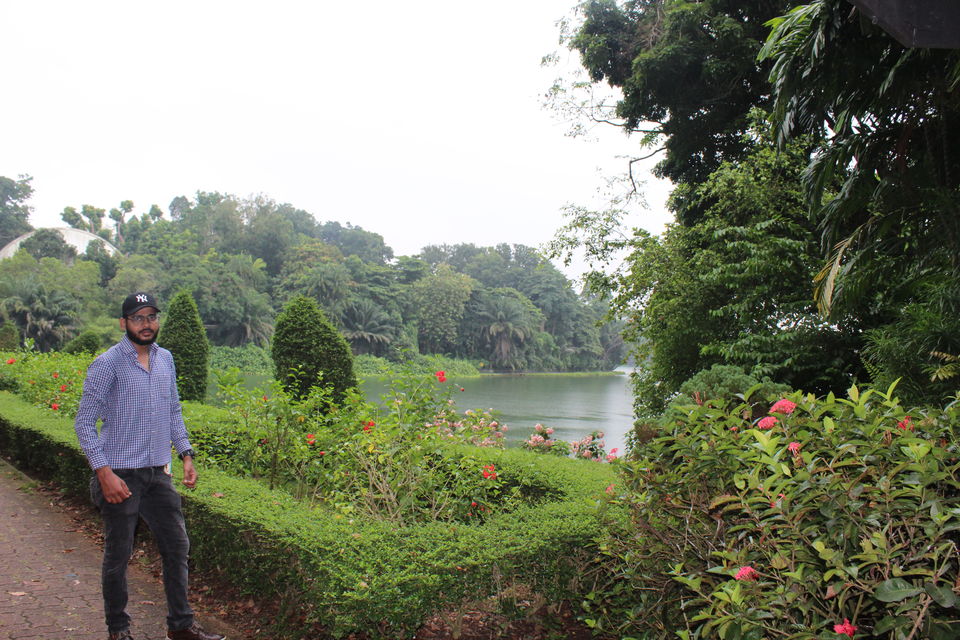 Photo of Singapore - Singapore Zoo 9/70 by Yasmin Mirza