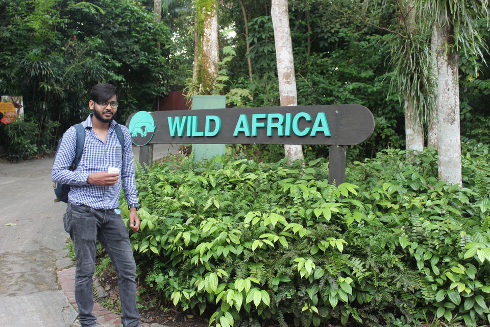 Photo of Singapore - Singapore Zoo 10/70 by Yasmin Mirza