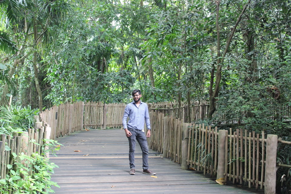 Photo of Singapore - Singapore Zoo 14/70 by Yasmin Mirza
