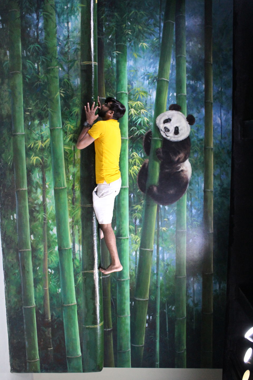 Photo of 3D ART GALLERY, LANGKAWI, Langkawi, Kedah, Malaysia by Yasmin Mirza