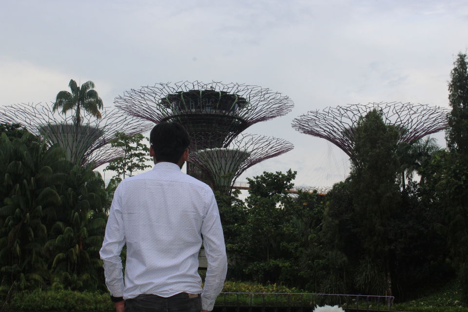 Photo of SINGAPORE TRAVEL GUIDE - BUDGET + ITINERARY by Yasmin Mirza