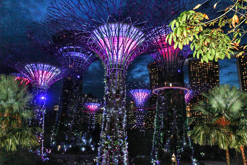 Photo of SINGAPORE TRAVEL GUIDE - BUDGET + ITINERARY by Yasmin Mirza