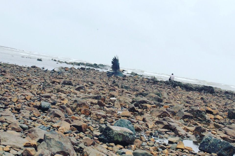 Photo of Haji Ali, Mumbai, Maharashtra, India by Yasmin Mirza