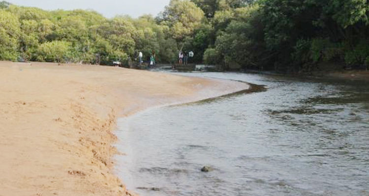 Photo of Aksa Beach, Mumbai, Maharashtra by Yasmin Mirza