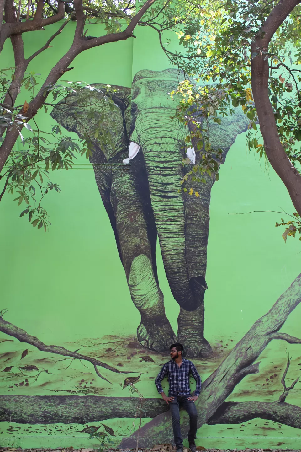 Photo of Welcome Amazing Art On Walls : Lodhi Art District by Yasmin Mirza