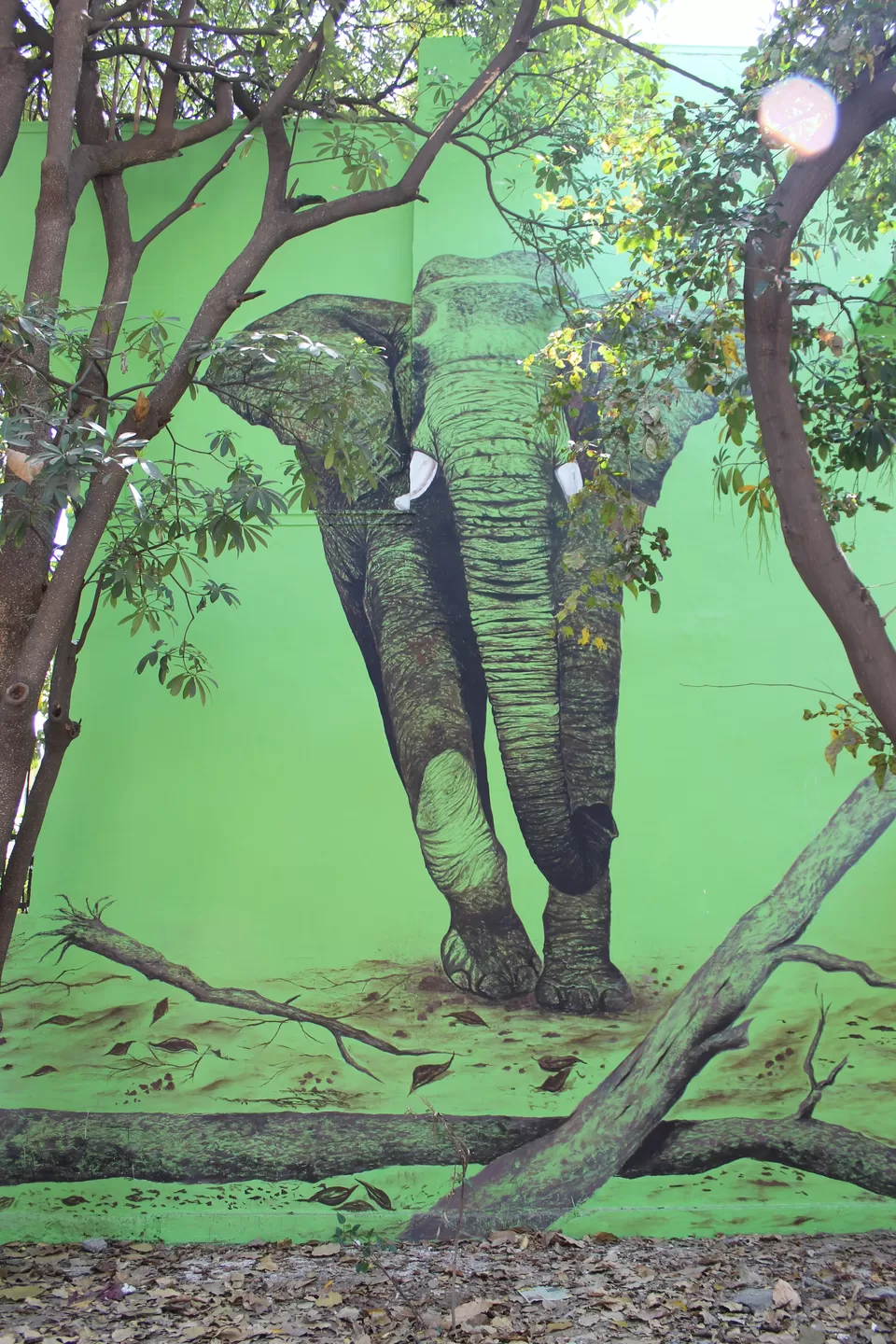 Photo of Welcome Amazing Art On Walls : Lodhi Art District by Yasmin Mirza