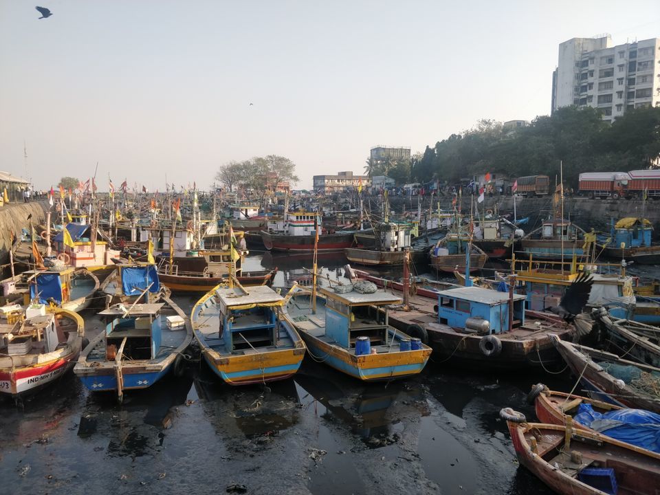 Photo of Sassoon Dock, Azad Nagar, Colaba, Mumbai, Maharashtra, India by Renu Joshi