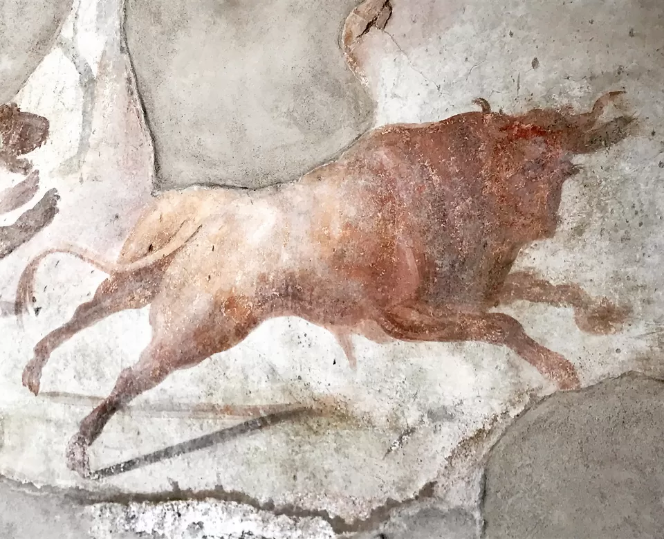 Photo of Return to Italy 2018 by Amanda Williams