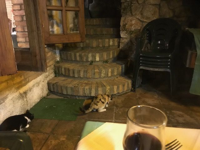 Photo of Return to Italy 2018 by Amanda Williams