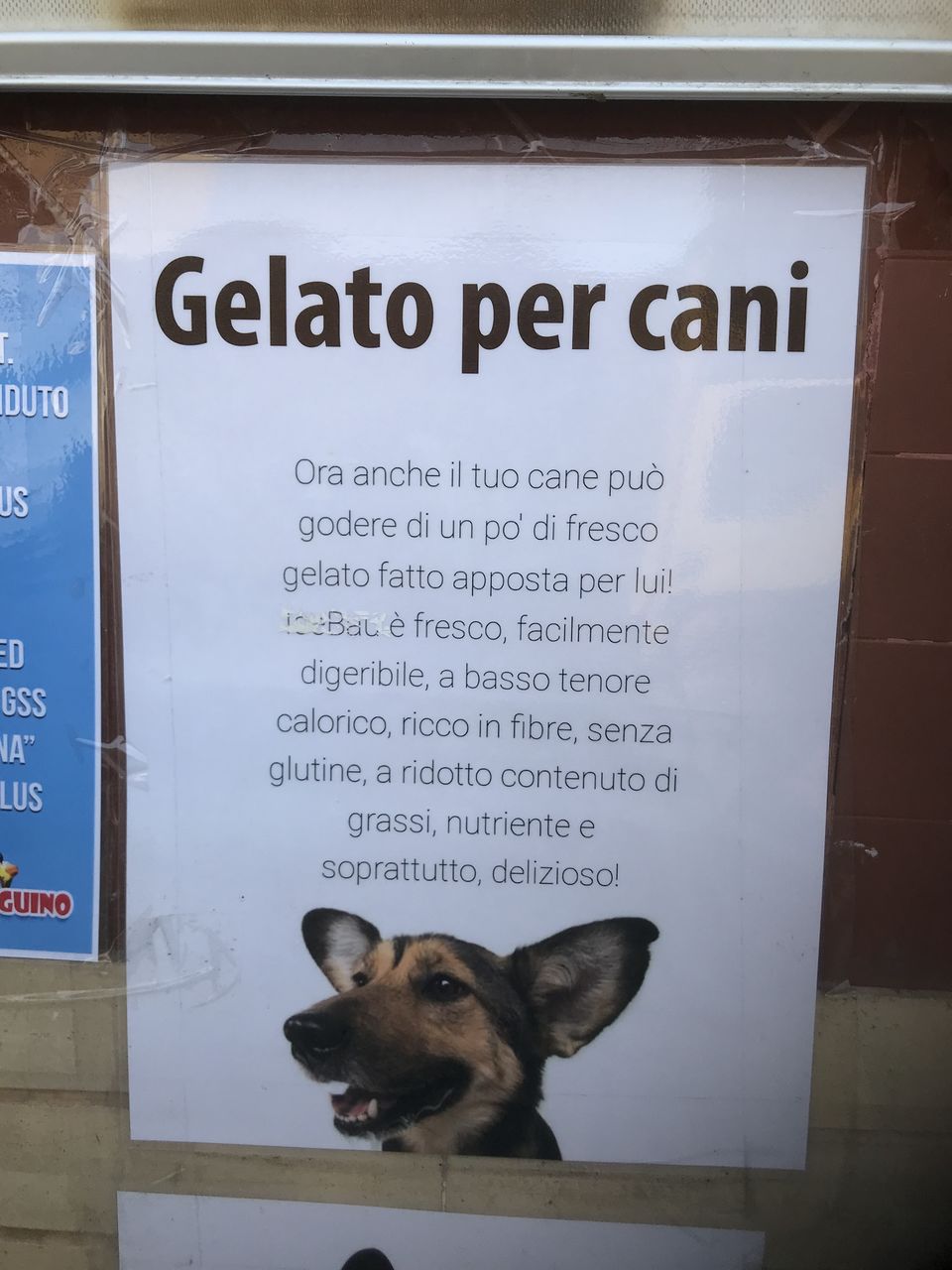 Photo of Return to Italy 2018 by Amanda Williams