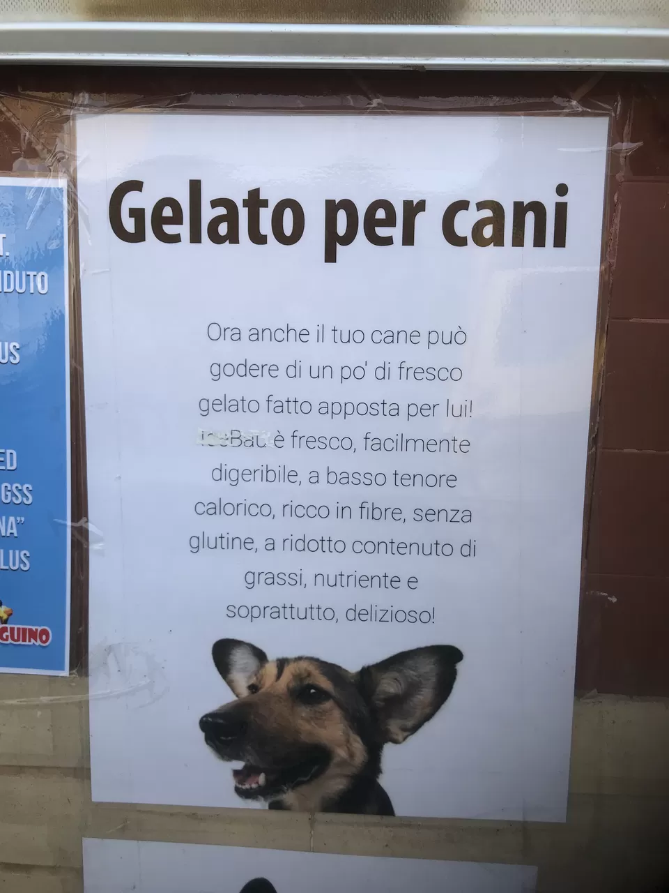 Photo of Return to Italy 2018 by Amanda Williams