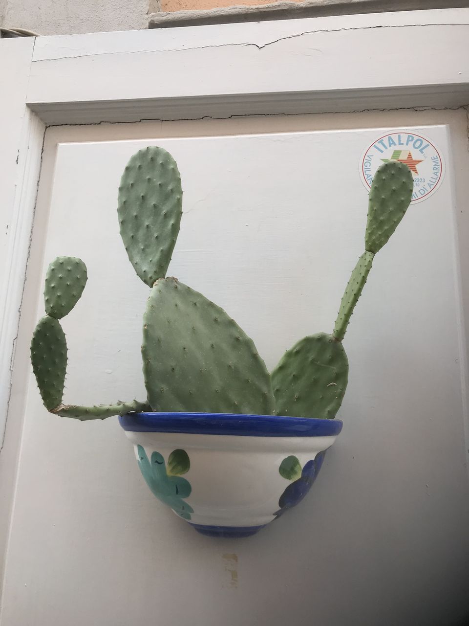 Photo of Return to Italy 2018 by Amanda Williams
