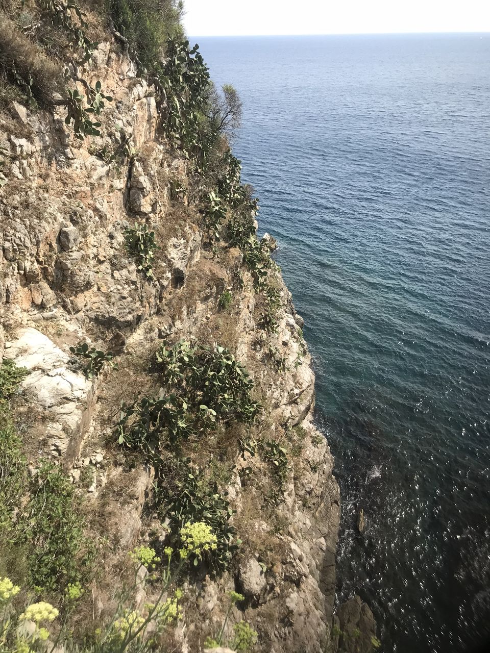 Photo of Return to Italy 2018 by Amanda Williams