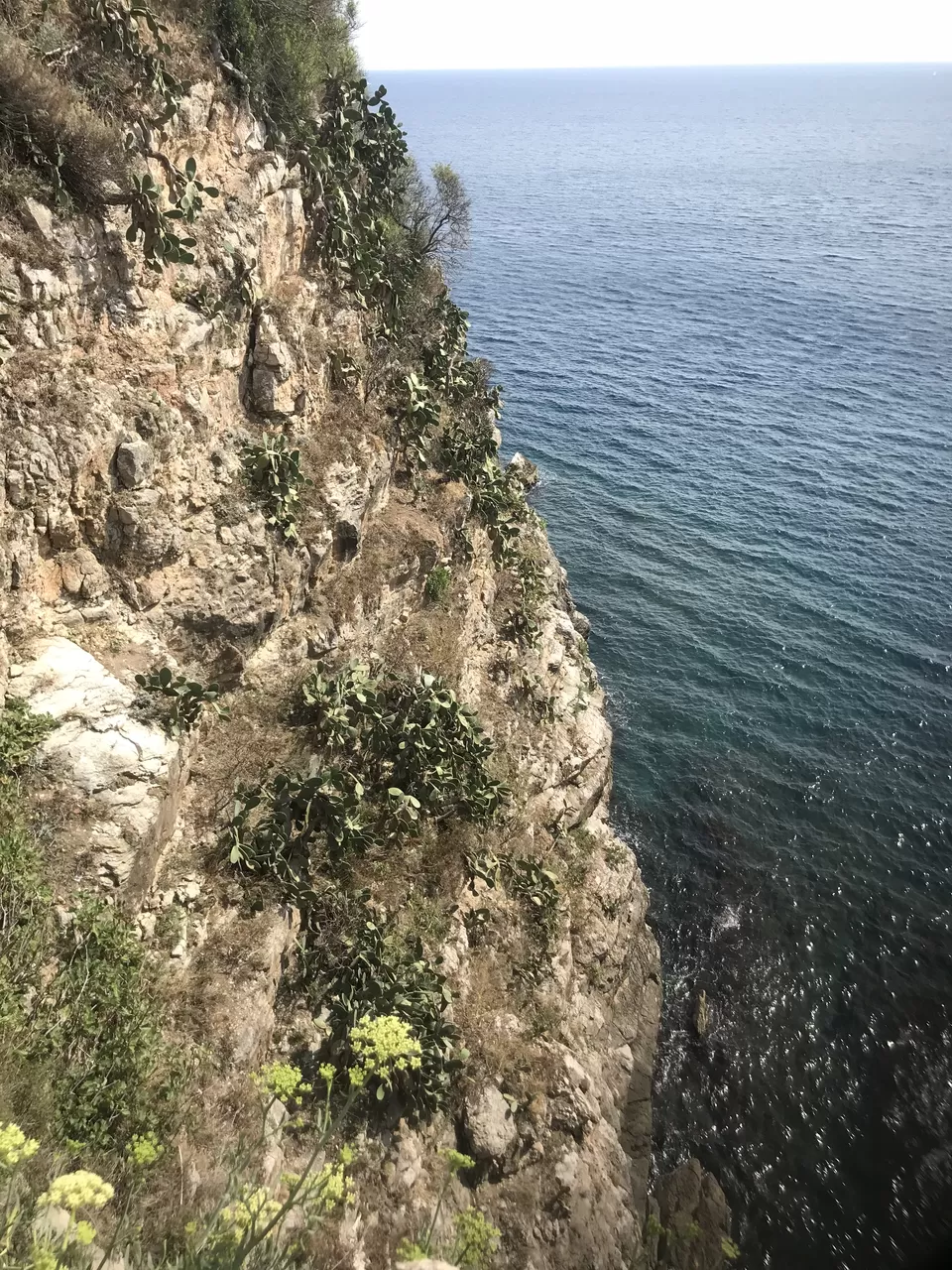 Photo of Return to Italy 2018 by Amanda Williams
