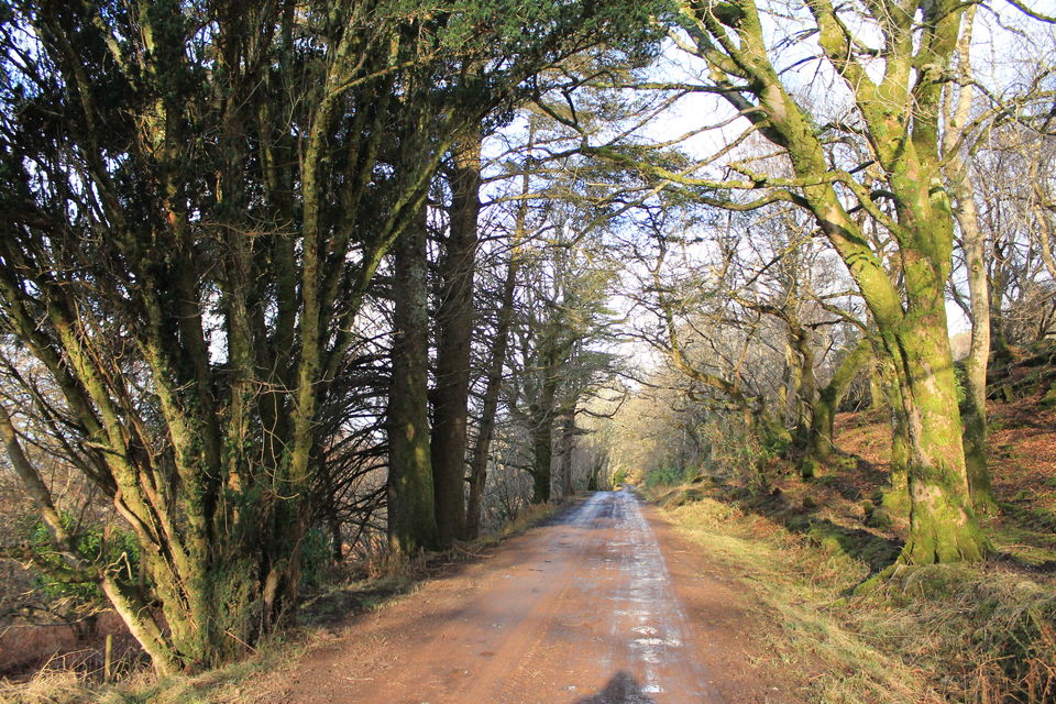 Photo of Exploring the western tip of scotland 1/18 by Sangeetha