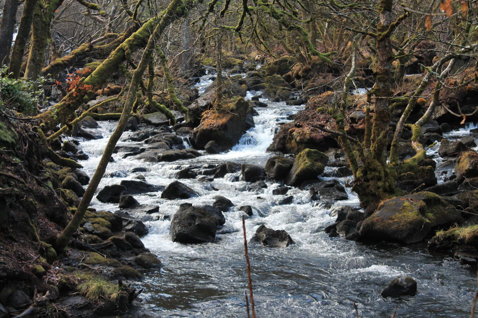 Photo of Exploring the western tip of scotland 5/18 by Sangeetha