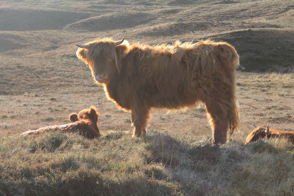 Photo of Exploring the western tip of scotland 11/18 by Sangeetha