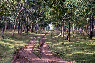 Photo of Thrilling Tales, Kabini (Karnataka, India) 2/4 by Roshan Chugh (@vagabondfootsteps)