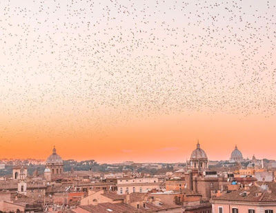 Photo of When in Rome! - Part I 1/3 by Roshan Chugh (@vagabondfootsteps)
