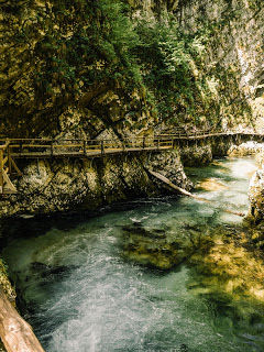 Photo of Vintgar gorge, Turistično društvo Gorje, Podhom, Zgornje Gorje, Slovenia by Roshan Chugh (@vagabondfootsteps)