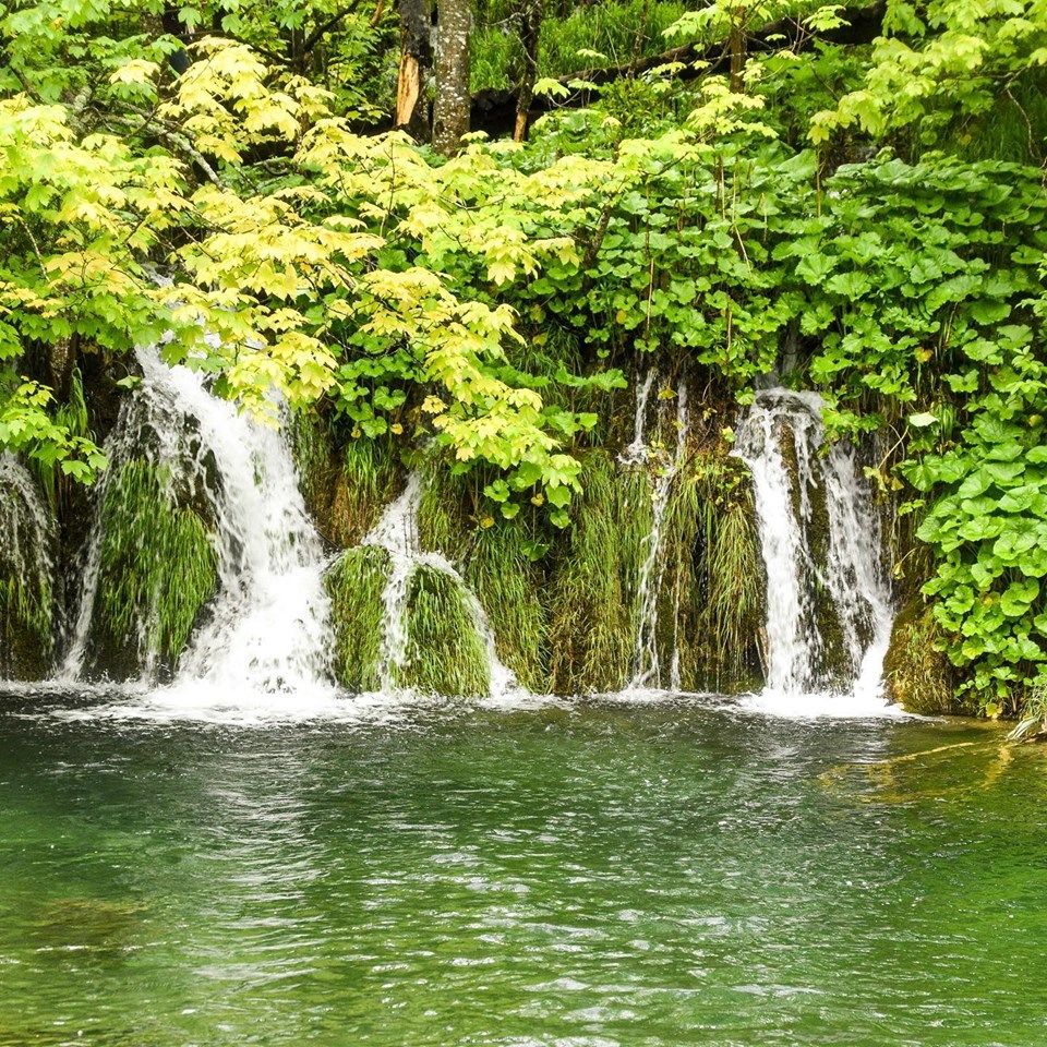Photo of A trip to Plitvice Lakes! by Roshan Chugh (@vagabondfootsteps)