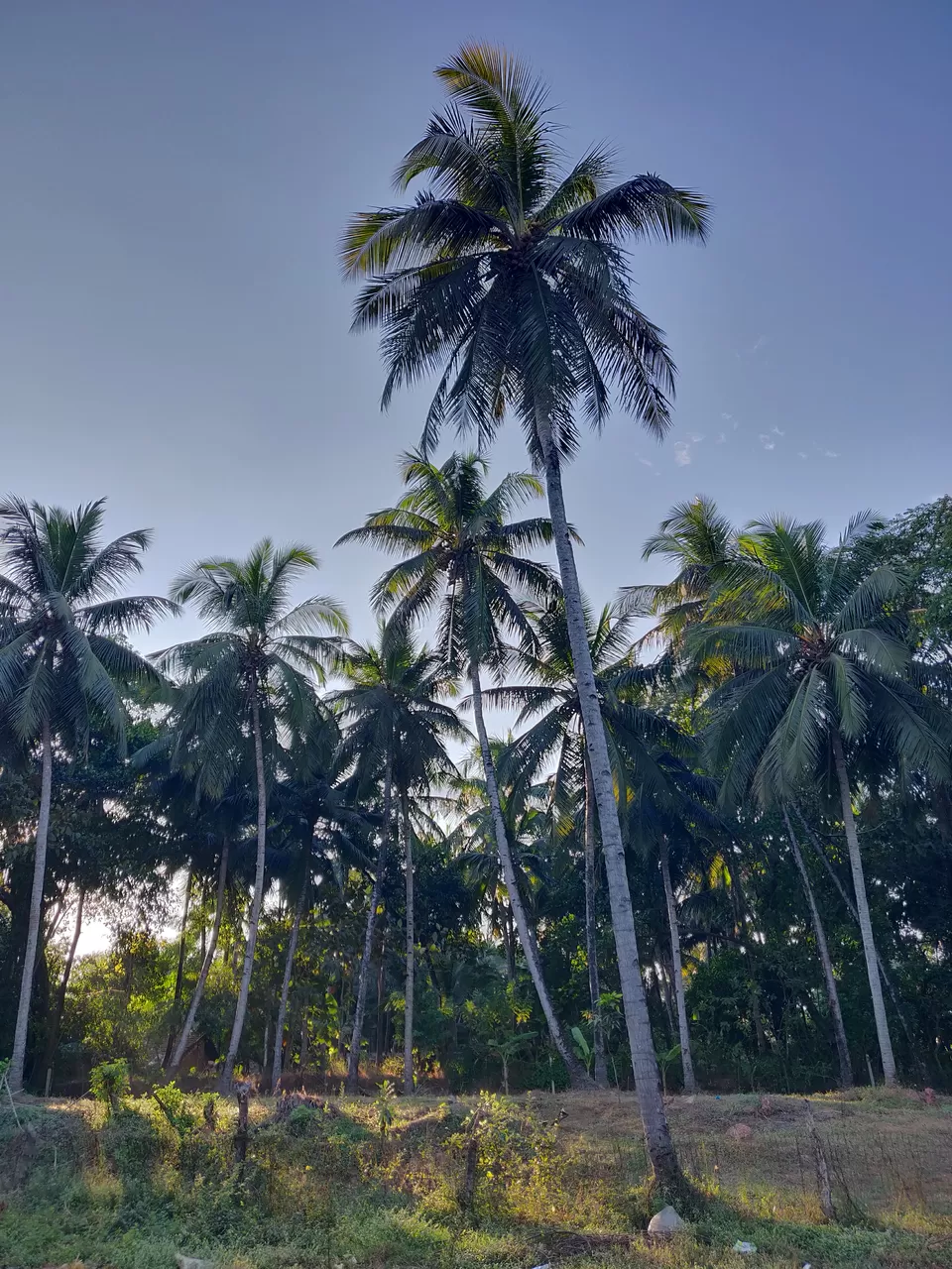 Photo of Cavelossim Beach, Cavelossim, Goa by Jay Shrimali
