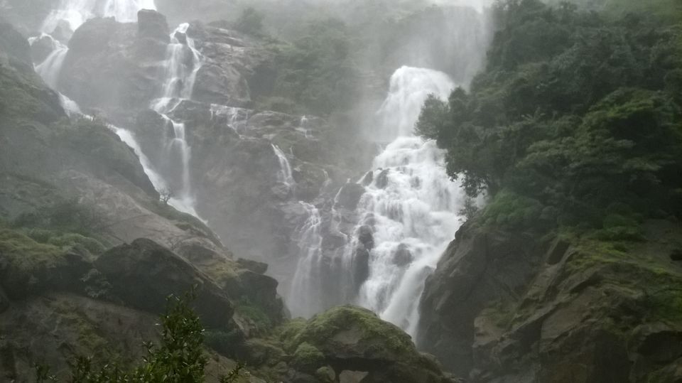 Photo of Majestic Dudhsagar Falls by Abhishek Sura
