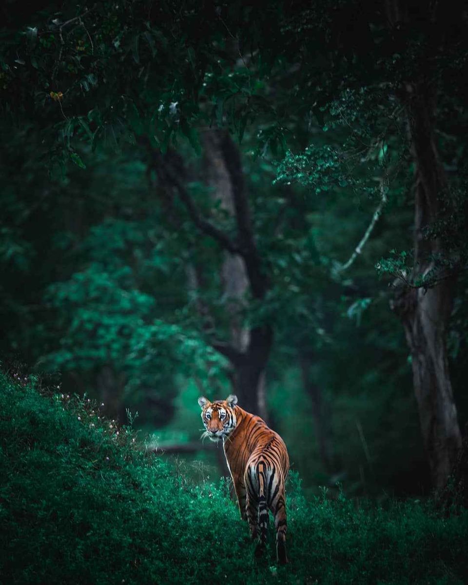 Photo of Travelling This Monsoon? Know What These Famous Instagram Influencers Pack During Rains by Anshul Sharma