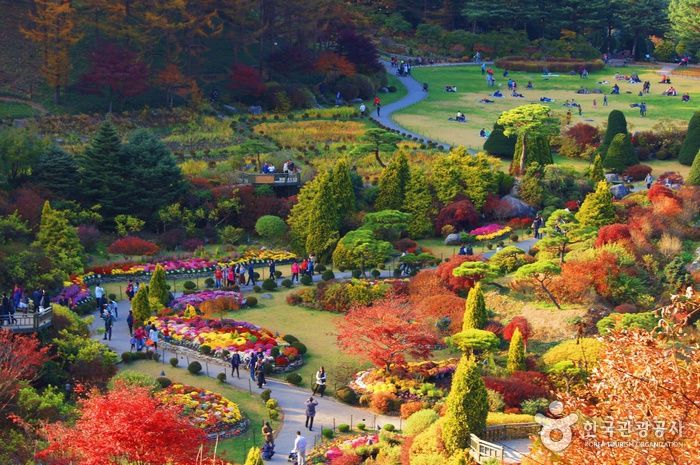 Photo of "Gyeonggi has to be your next destination", says Miss India Grand 2018 after her trip 3/3 by Anshul Sharma