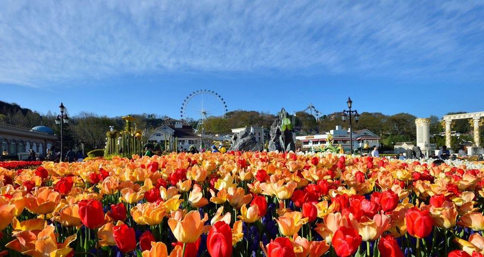 Photo of "Gyeonggi has to be your next destination", says Miss India Grand 2018 after her trip by Anshul Sharma