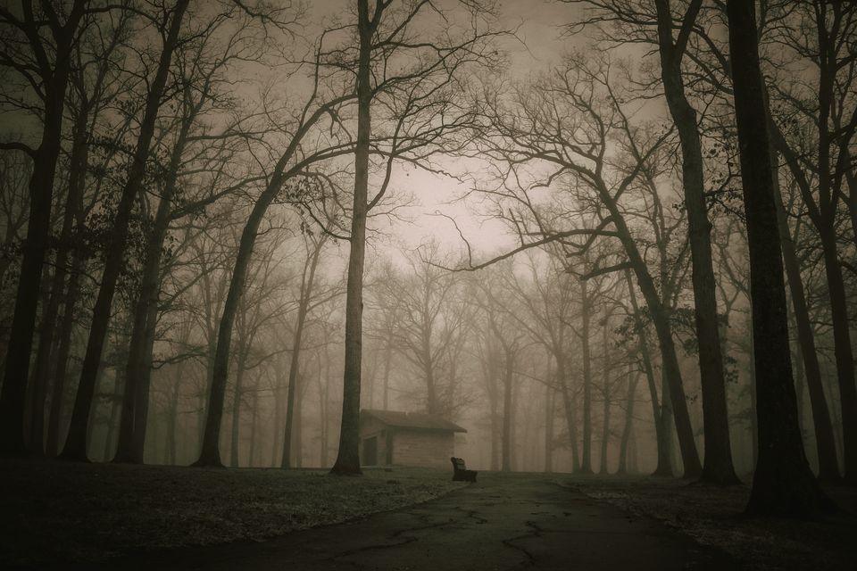 Photo of 29 Places In 29 Indian States To Scare The Crap Out Of You by Anshul Sharma