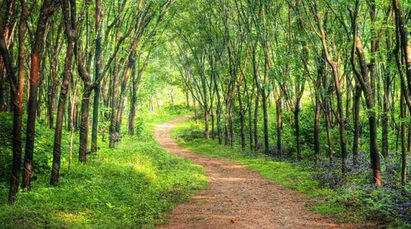 Photo of 29 Places In 29 Indian States To Scare The Crap Out Of You 10/10 by Anshul Sharma