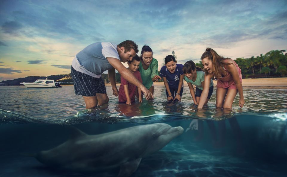 Photo of 10 Experiences That Will Make You Want to Choose Brisbane as Your Next Travel Destination 7/10 by Anshul Sharma