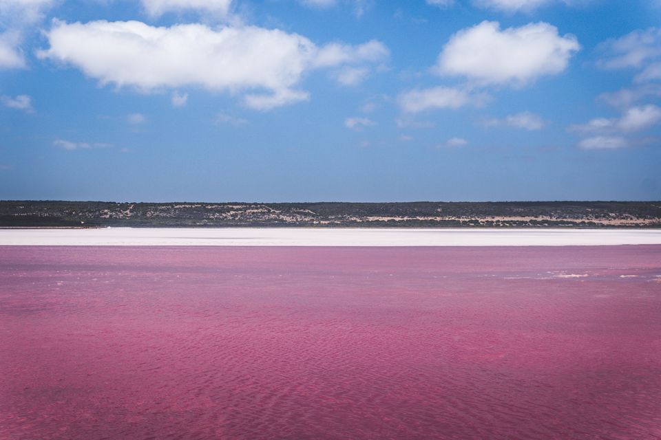 Photo of 16 Pink Places You Need to Visit at Least Once in Lifetime by Anshul Sharma