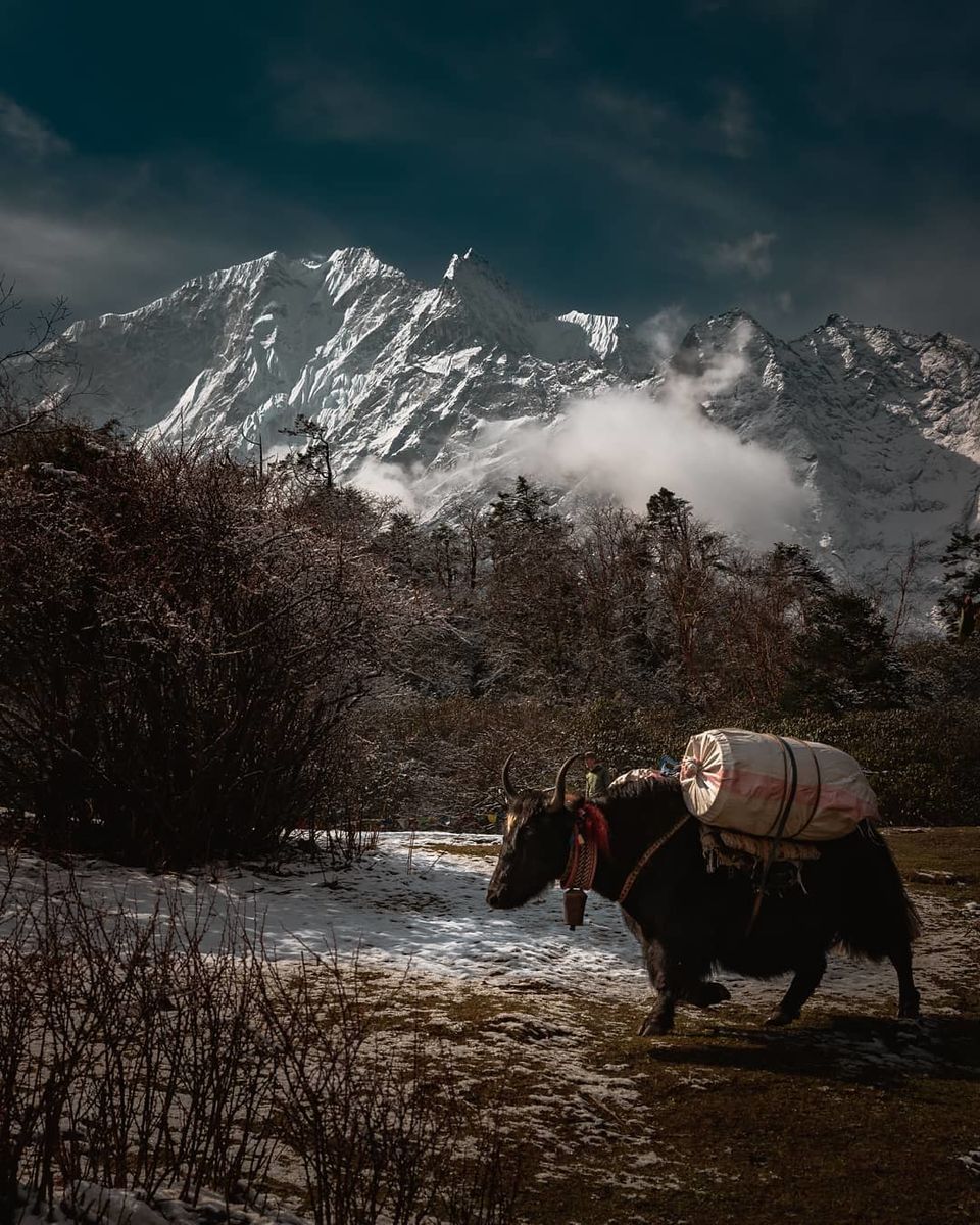 Photo of Travelling This Monsoon? Know What These Famous Instagram Influencers Pack During Rains by Anshul Sharma