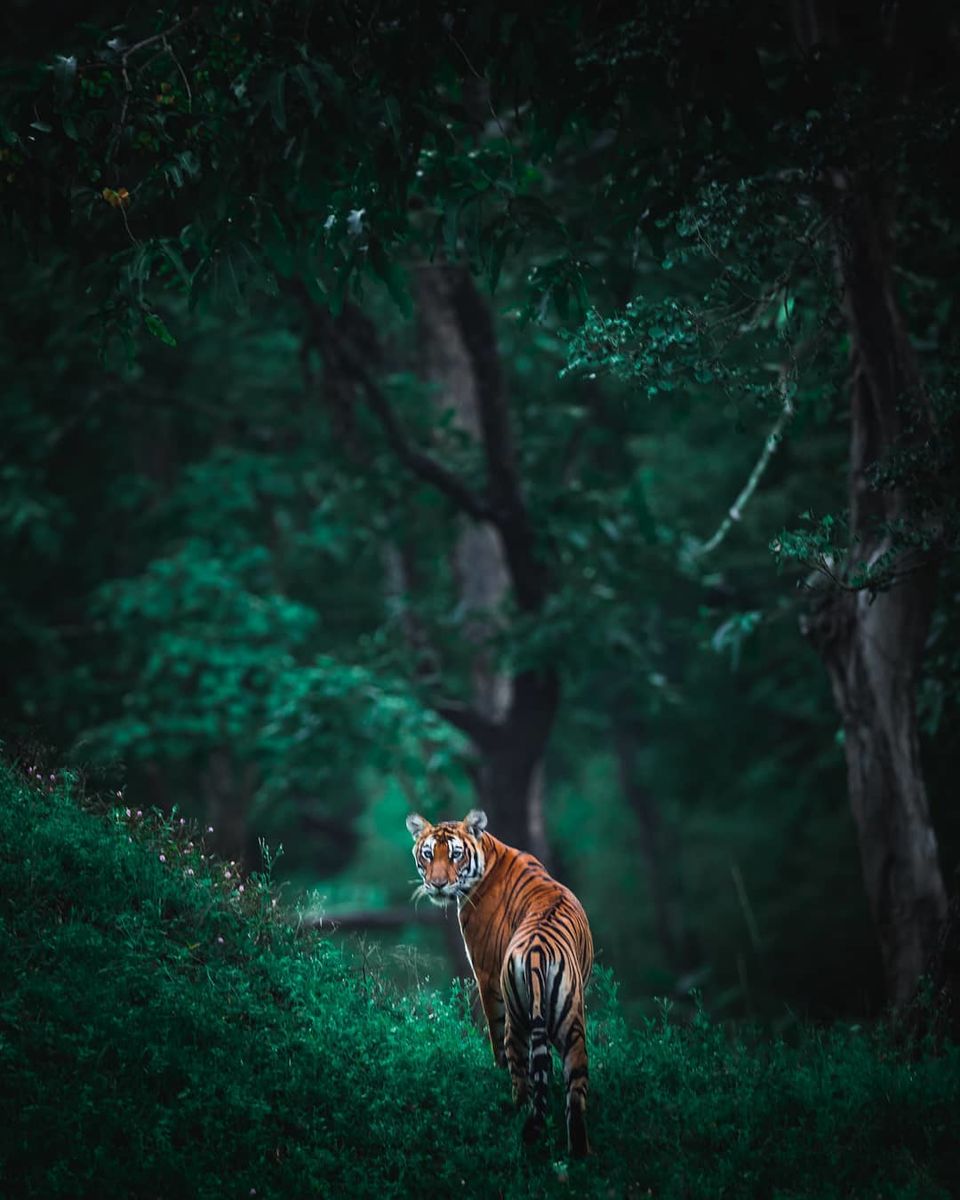 Photo of Travelling This Monsoon? Know What These Famous Instagram Influencers Pack During Rains by Anshul Sharma