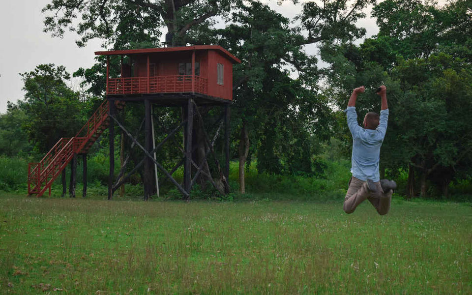 Photo of Take a Look at the Top Treetop Accommodations in the Country by Anshul Sharma