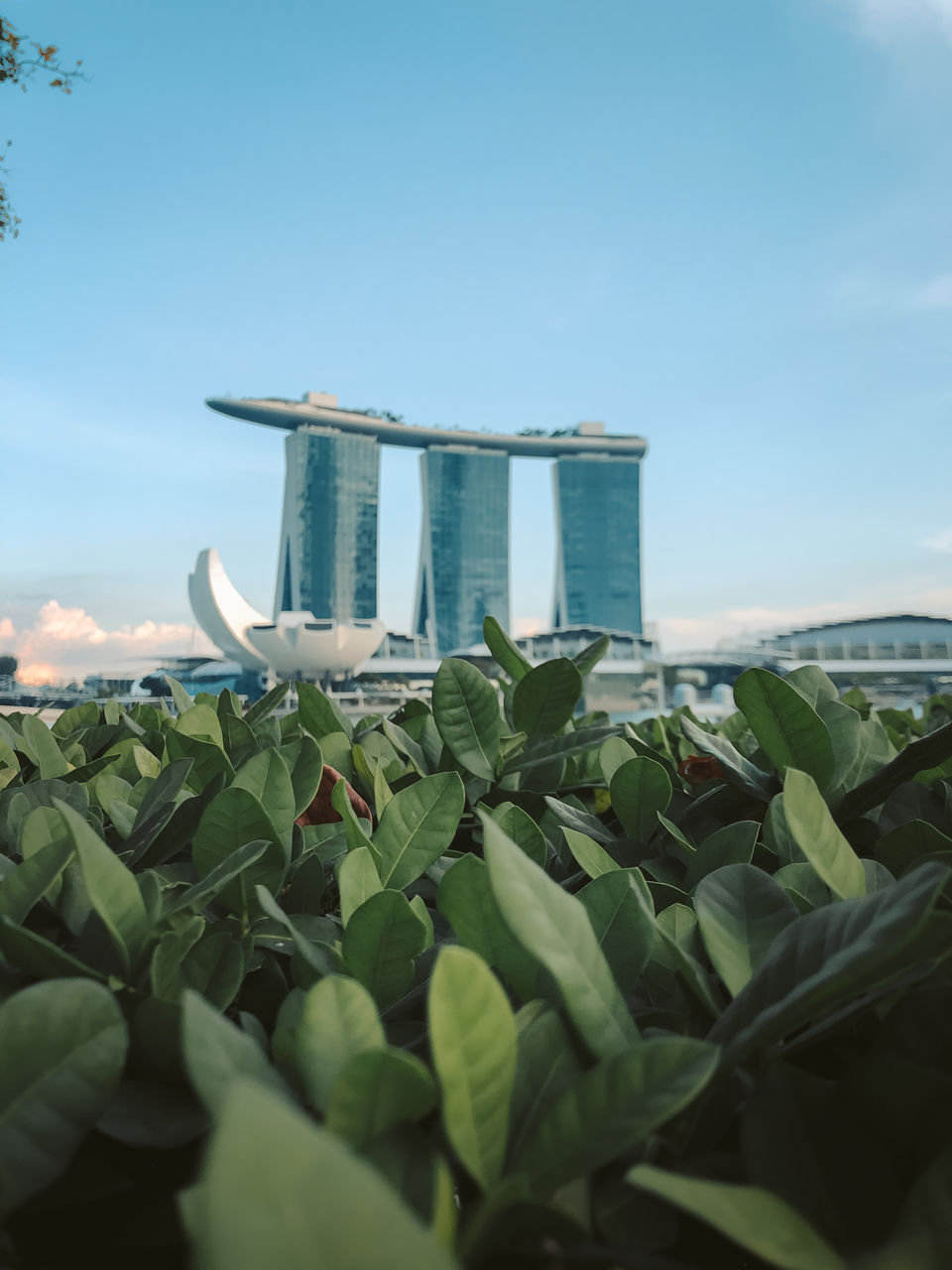 Photo of How 5 Days in Singapore Made a Mumbaikar Fall in Love with This City-Island-Nation by Anshul Sharma