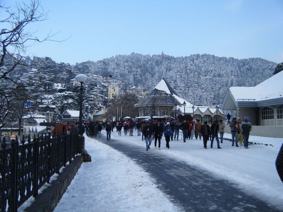 Photo of Love Travelling in Winter? These 8 Destinations Look Gorgeous This Time of the Year by Anshul Sharma