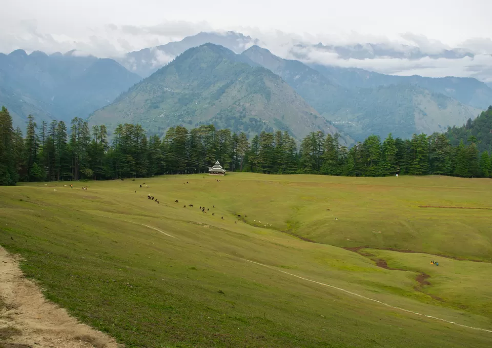Photo of Shangarh, Himachal Pradesh, India by Anshul Sharma